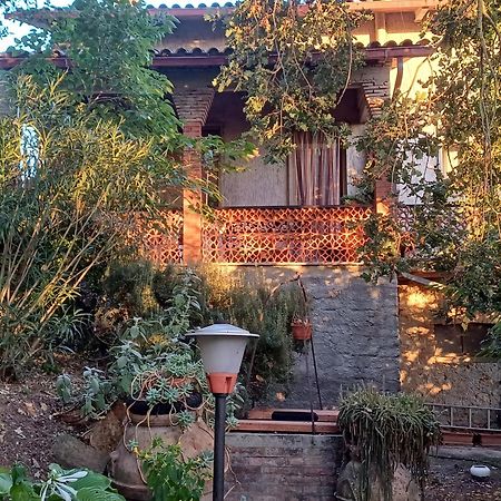 Lugnano in TeverinaLa Casa Di Lili别墅 外观 照片