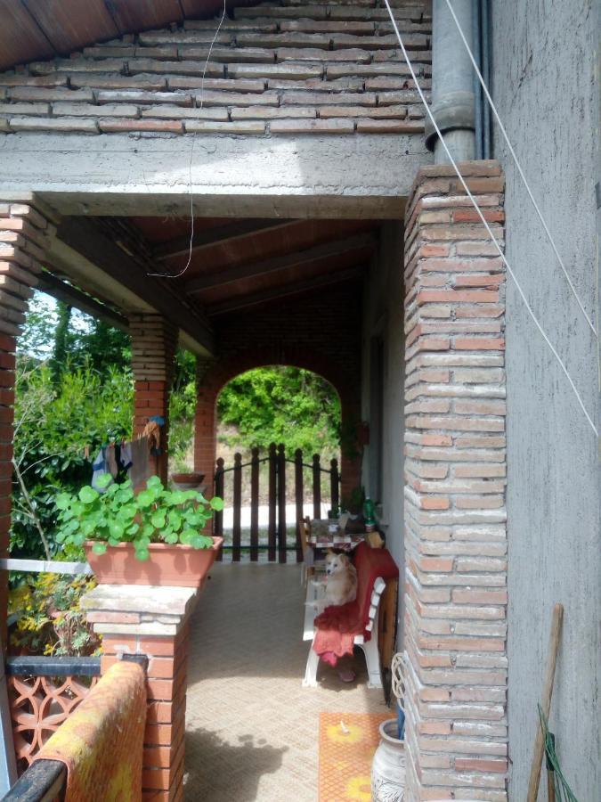 Lugnano in TeverinaLa Casa Di Lili别墅 外观 照片