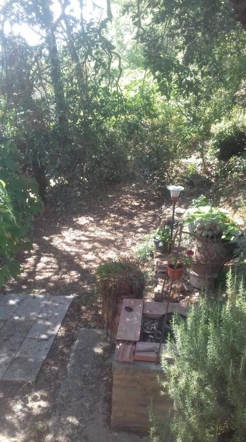 Lugnano in TeverinaLa Casa Di Lili别墅 外观 照片