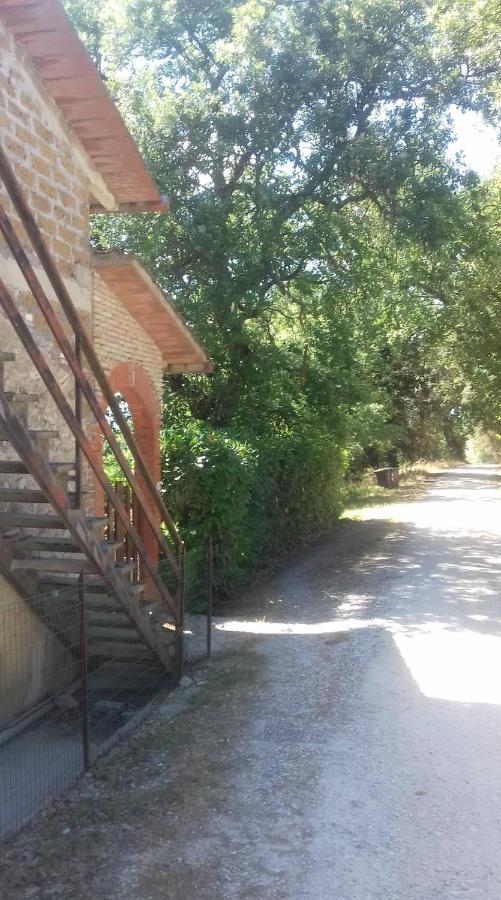 Lugnano in TeverinaLa Casa Di Lili别墅 外观 照片